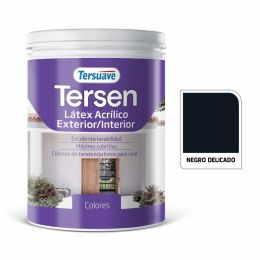 TERSUAVE TERSEN LATEX EXT-INT MATE NEGRO DELICADO X1 LT