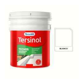 TERSUAVE TERSINOL TECHO MEMB EN PASTA BLANCO X 10 KG