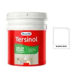 TERSUAVE TERSINOL LATEX CIELORRASO MATE BLANCO X 10 LT