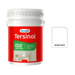 TERSUAVE TERSINOL LATEX CIELORRASO MATE BLANCO X 20 LT