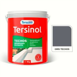 TERSUAVE TERSINOL TECHO MEMB EN PASTA GRIS X 4 KG