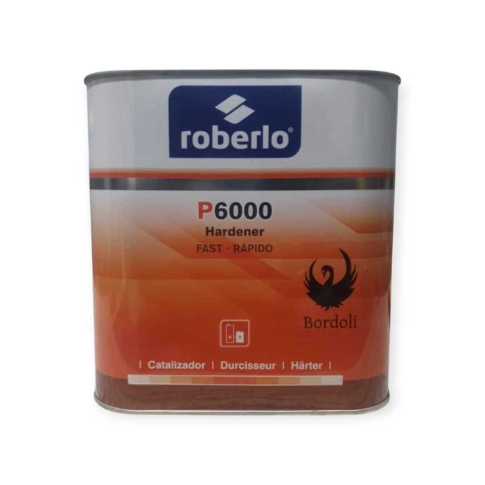 ROBERLO CATALIZADOR P6000 RAPIDO - 2,5L