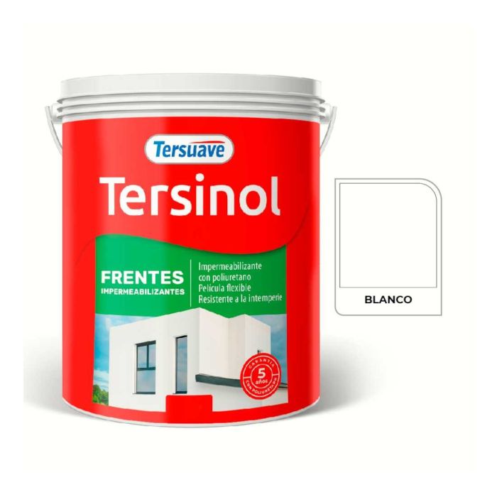 TERSUAVE TERSINOL IMPER. FRENTES MATE BLANCO X 5 KG