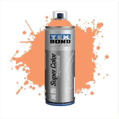 TB AEROSOL EXPRESSION SALMON 312G