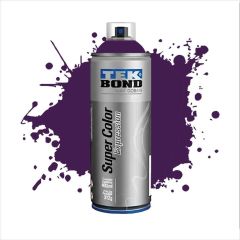 TB AEROSOL EXPRESSION ARANDANO 312G
