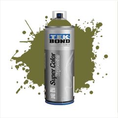 TB AEROSOL EXPRESSION VERDE GRAMA 312G