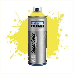 TB AEROSOL EXPRESSION MELON 312G