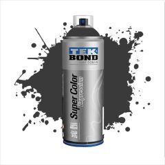 TB AEROSOL EXPRESSION GRIS PETROLEO 312G