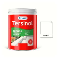 TERSUAVE TERSINOL TECHO MEMB EN PASTA BLANCO X 1 KG