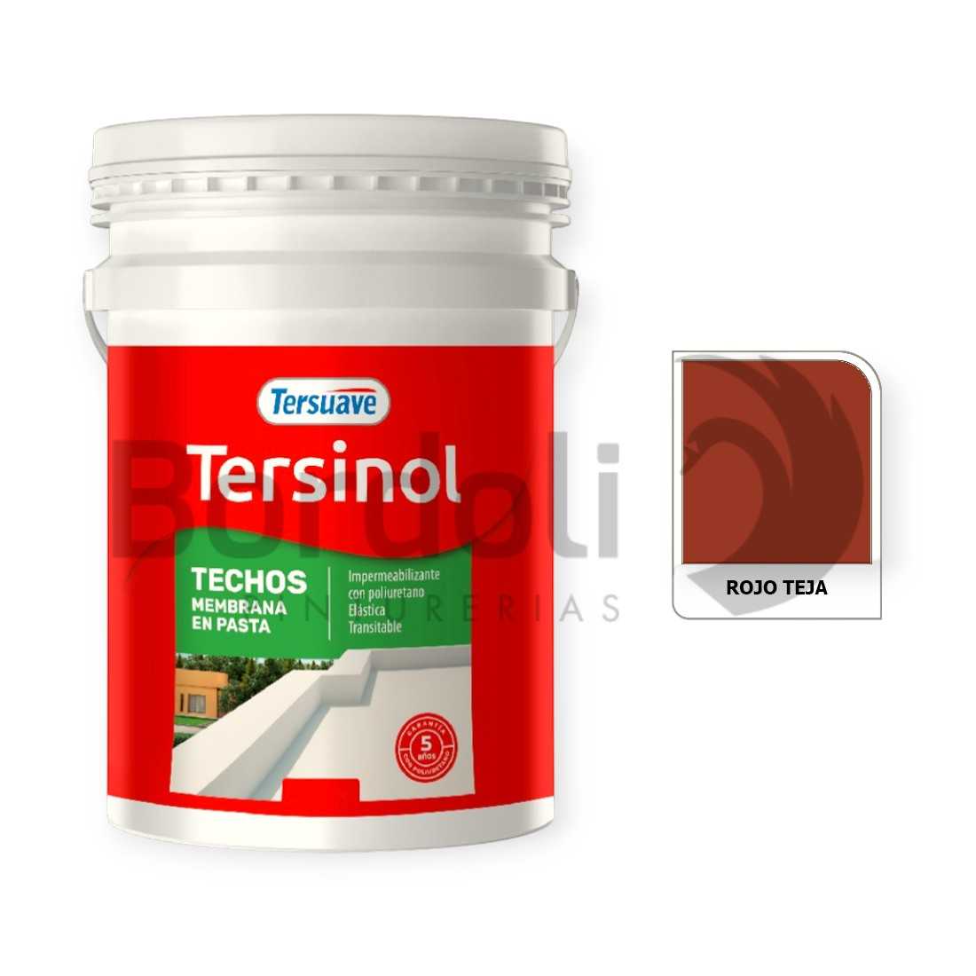 TERSUAVE TERSINOL TECHO MEMB EN PASTA ROJO TEJA X 20 KG