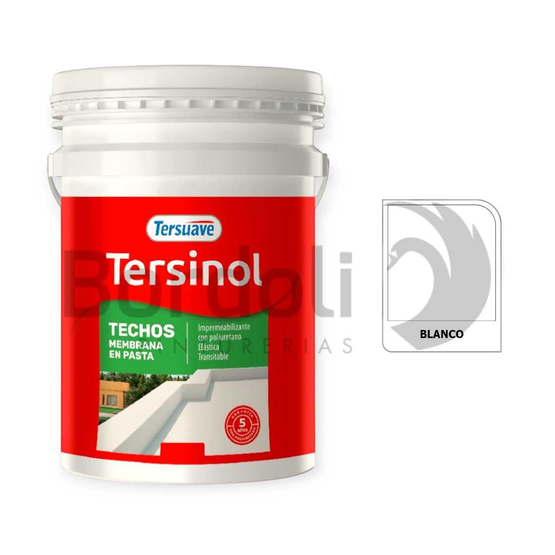 TERSUAVE TERSINOL TECHO MEMB EN PASTA BLANCO X 20 KG