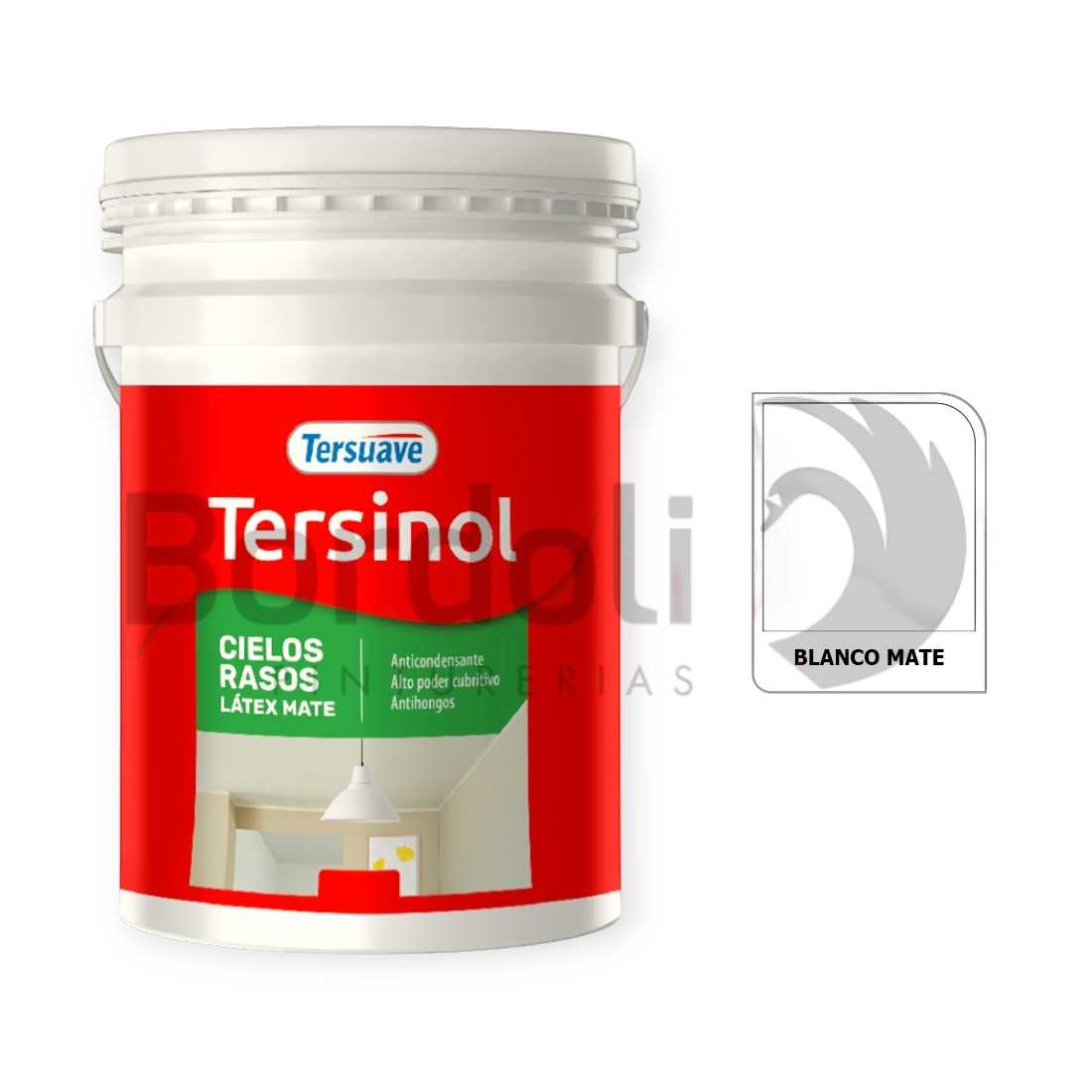 TERSUAVE TERSINOL LATEX CIELORRASO MATE BLANCO X 20 LT