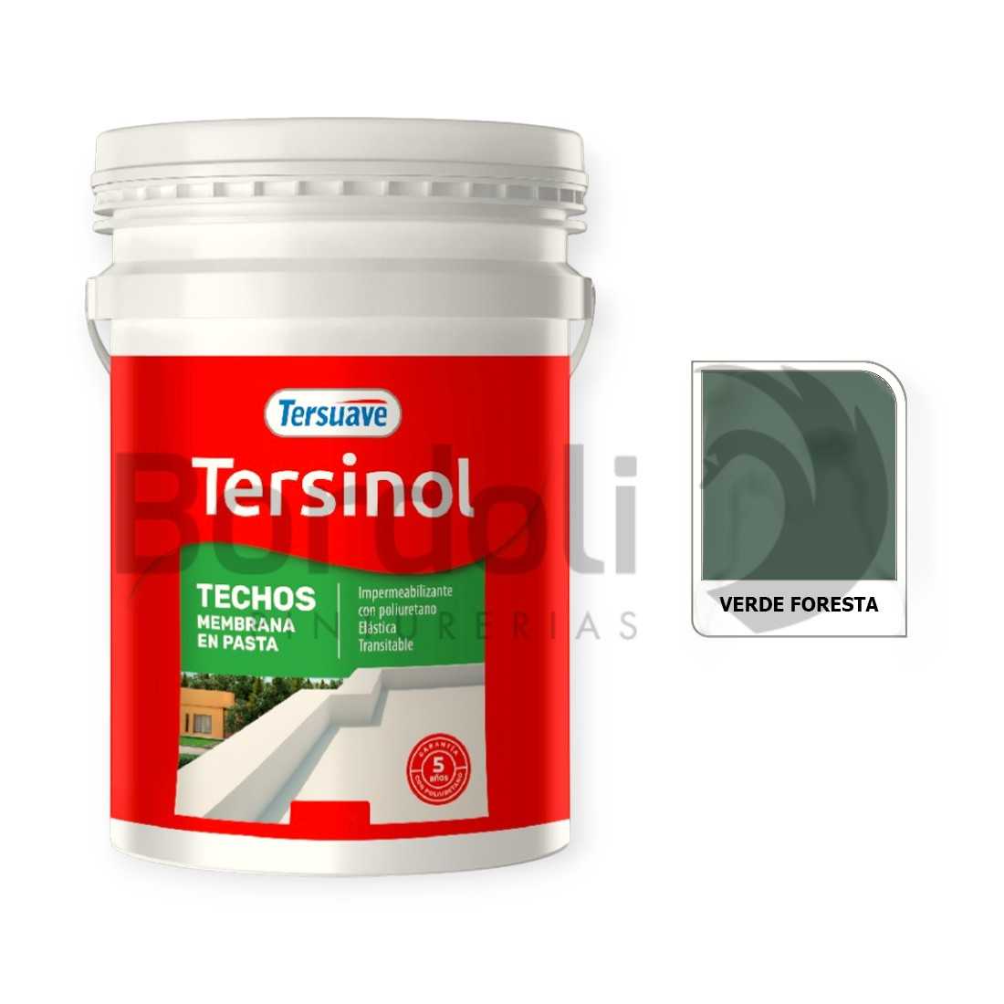 TERSUAVE TERSINOL TECHO MEMB EN PASTA VERDE FORESTA X 20 KG