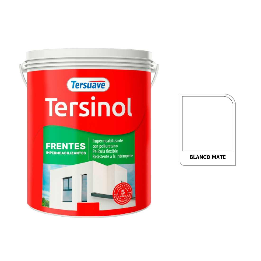 TERSUAVE TERSINOL IMPER. FRENTES MATE BLANCO X 5 KG