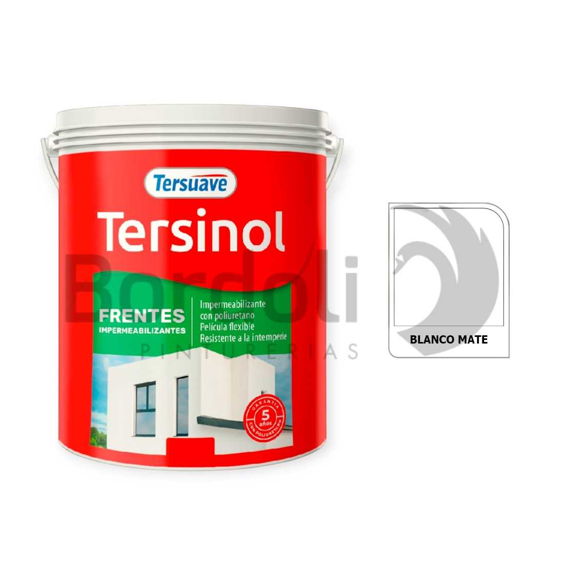 TERSUAVE TERSINOL IMPER. FRENTES MATE BLANCO X 5 KG