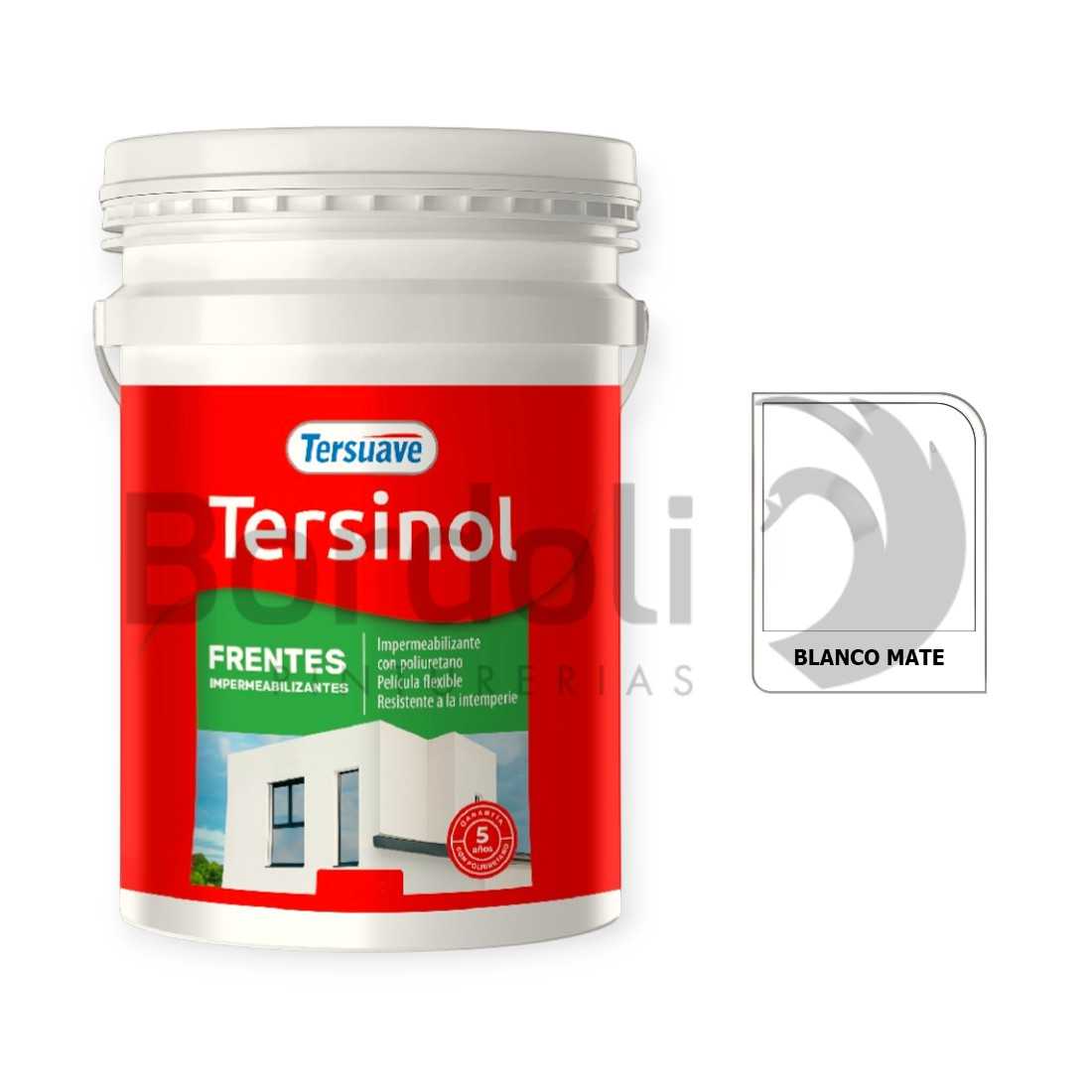 TERSUAVE TERSINOL IMPER. FRENTES MATE BLANCO X 25 KG