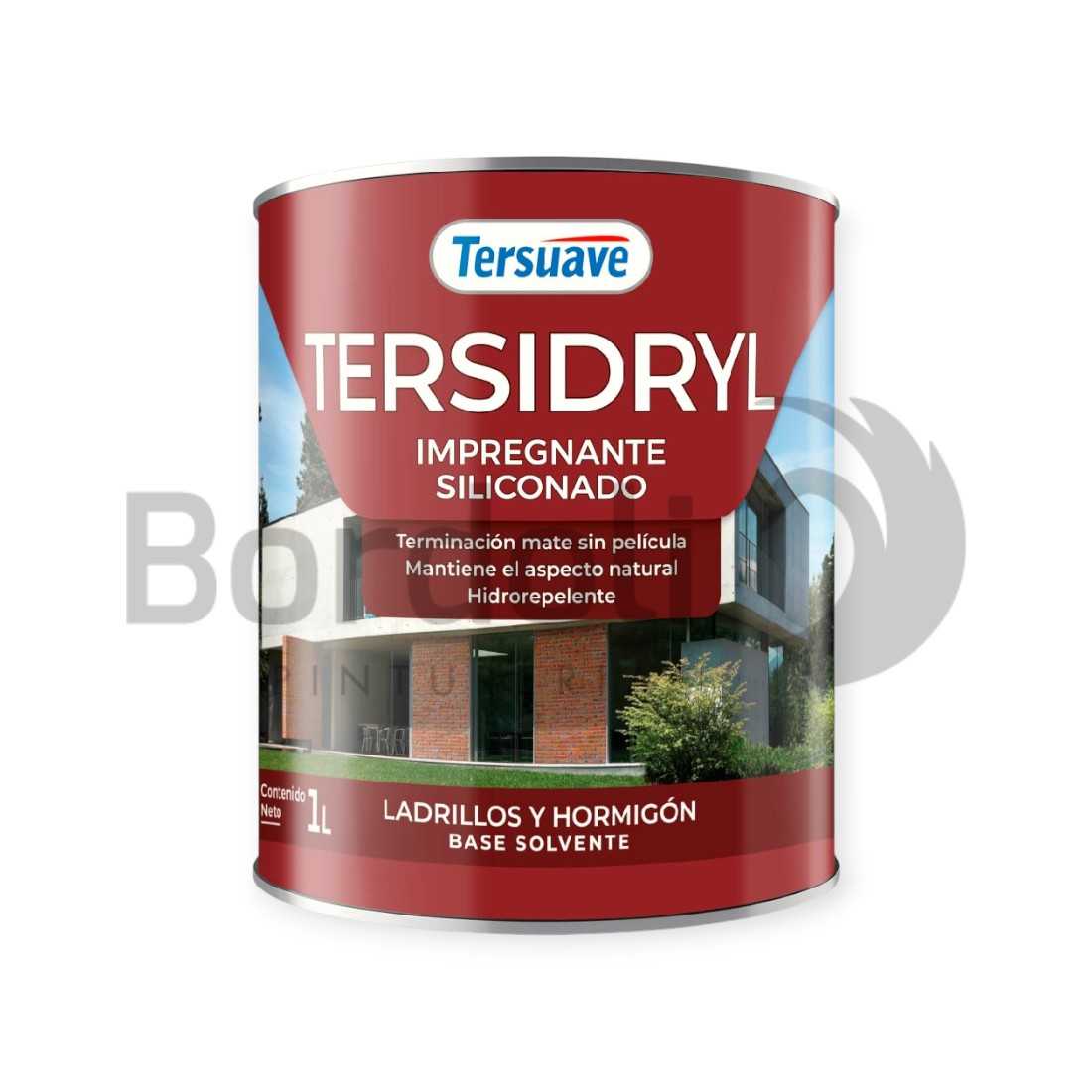 TERSUAVE TERSIDRYL IMPER. SOLV LAD Y PIE. S/PELI MATE X 1 LT