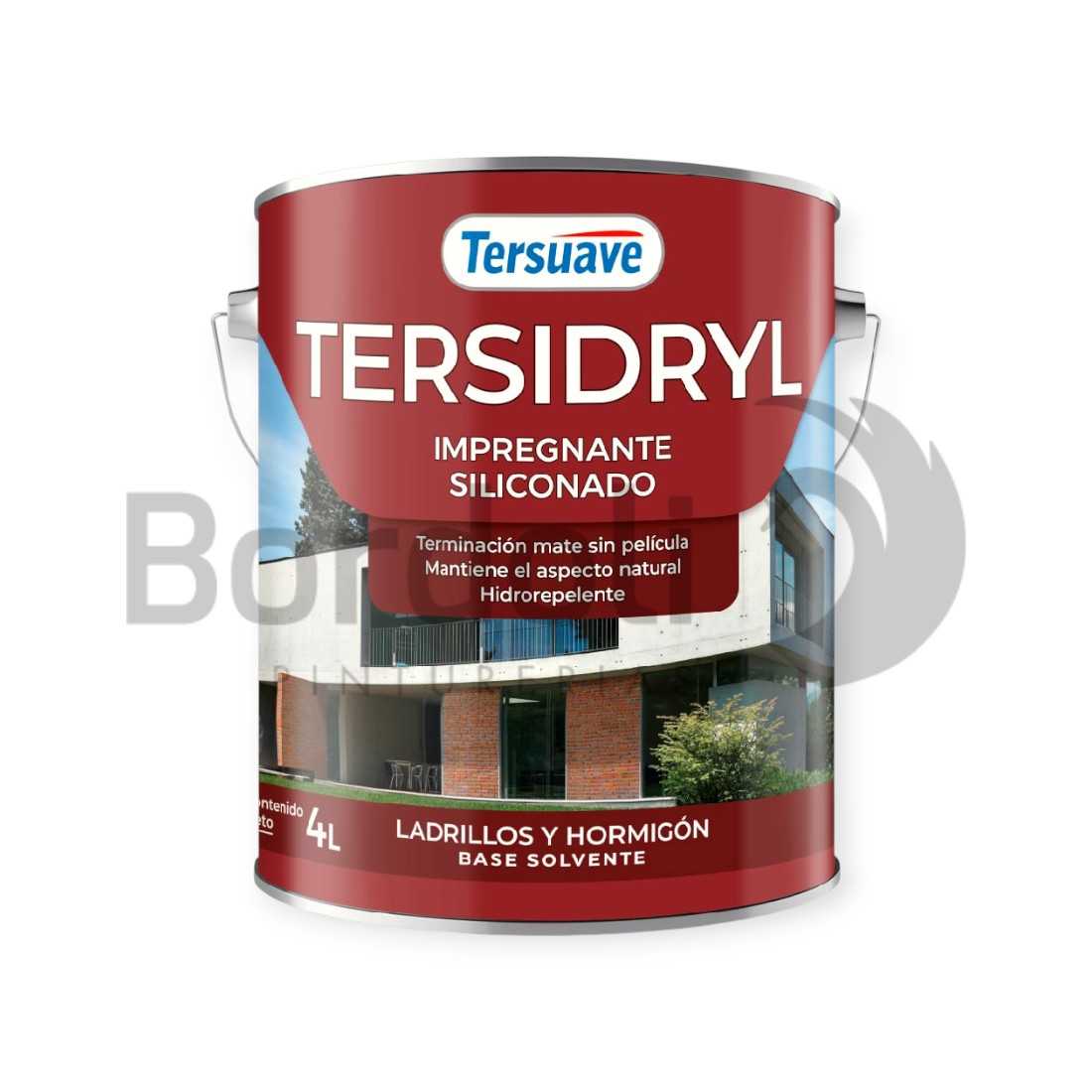 TERSUAVE TERSIDRYL IMPER. SOLV LAD Y PIE. S/PELI MATE X 4 LT