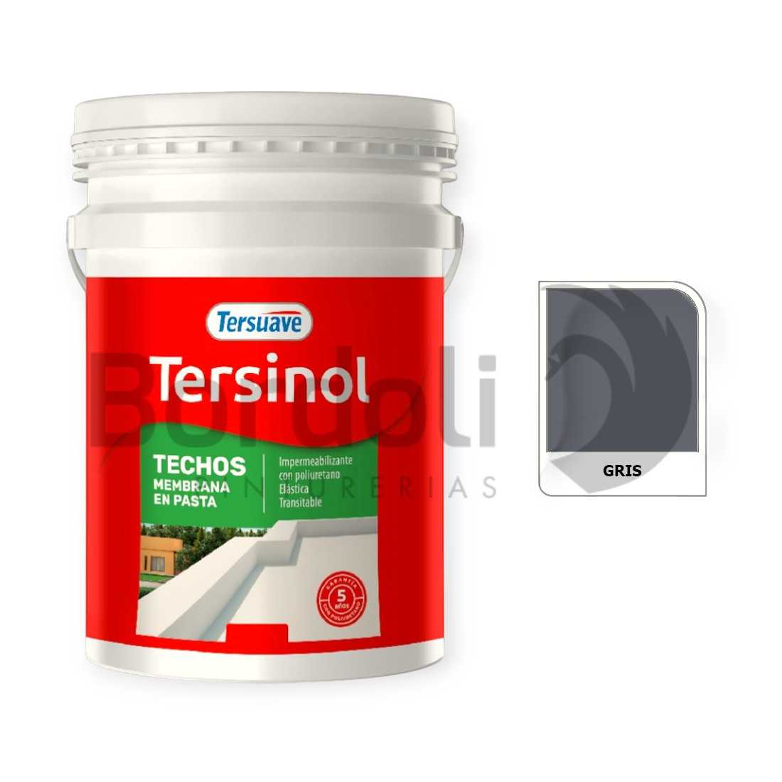 TERSUAVE TERSINOL TECHO MEMB EN PASTA GRIS X 20 KG